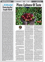 P 15